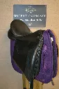 475907525_1175713661226663_8979269022155655647_n.webp