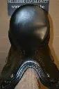 496184829_1282977893833572_7804127943978537412_n.webp