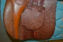 509362827_1294023106062384_2719807518099367528_n.webp