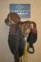 509363108_1295597012571660_1386520444283329880_n.webp