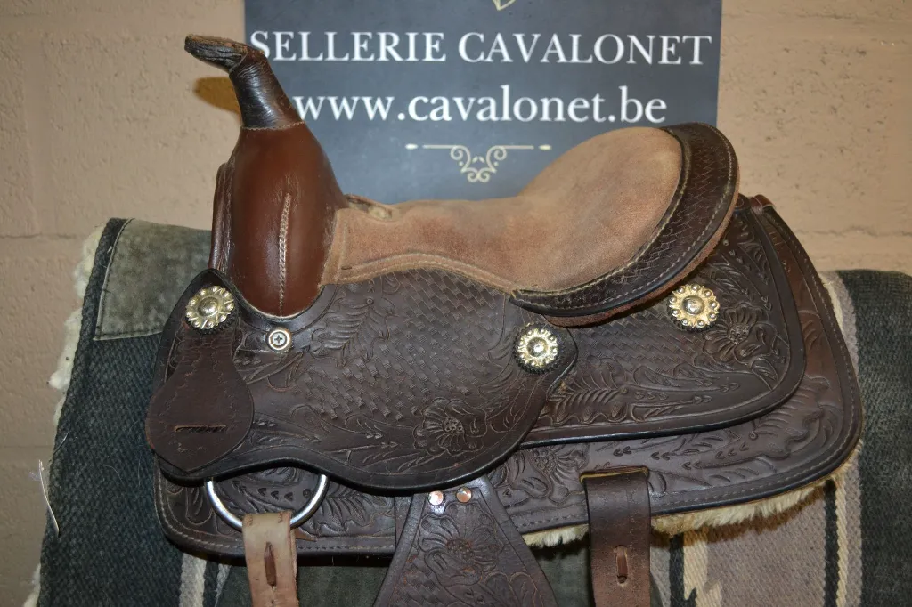 DV1868Castelain (2).webp