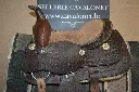 DV1868Castelain (2).webp