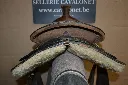 DV1868Castelain (9).webp