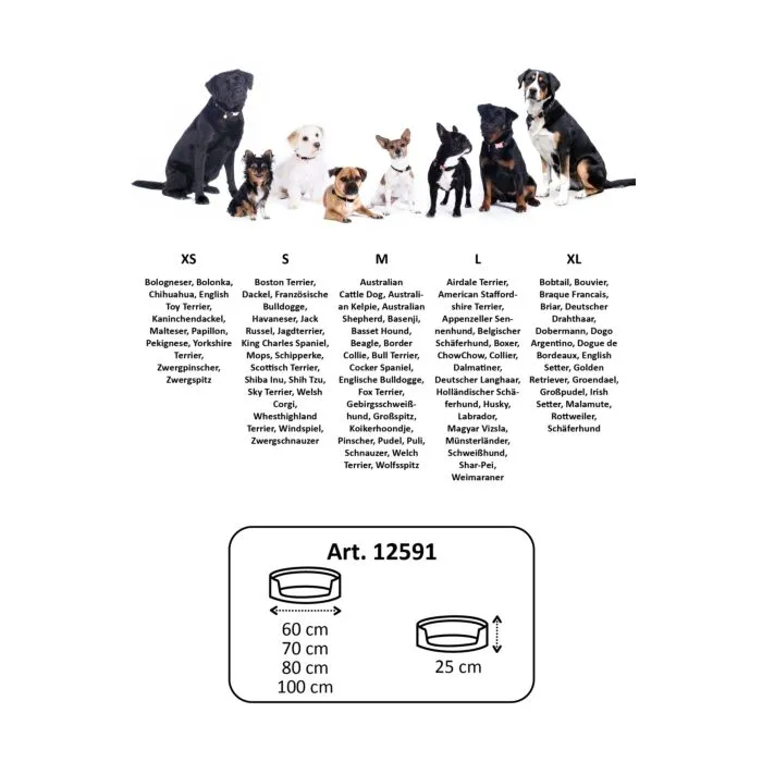 12591_4.webp