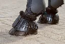 2683_3.webp