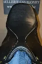 438102699_975496701248361_3535197366413307236_n.webp
