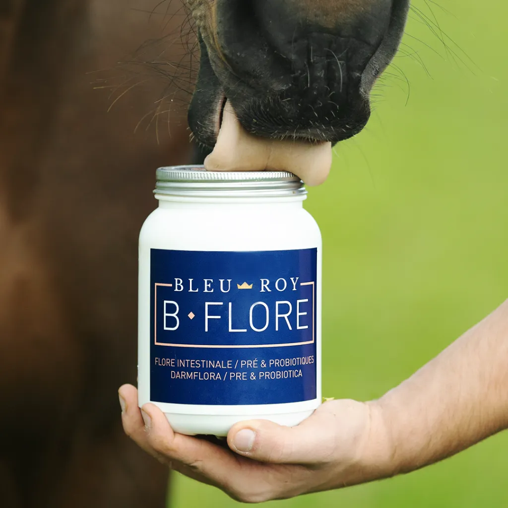 flore2.webp