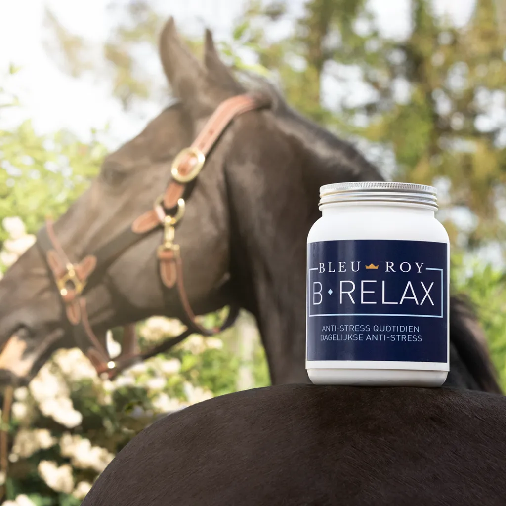 Relax-1.webp