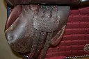 823001429_1544435944035567_5156267947148664390_n.webp
