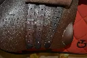 834362476_4369953876555199_7487915939831857553_n.webp