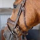 28000079_03_04.webp