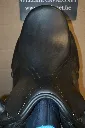 546418454_1375434701254557_979074770624137314_n.webp