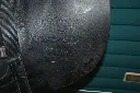 517579544_1314379767360051_6952866670594594384_n.webp