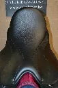 518321874_1313784077419620_1099538263696213820_n.webp