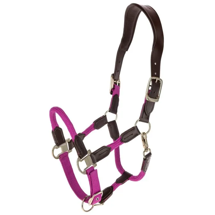 Licol Covalliero Cordano (FULL, Rose)