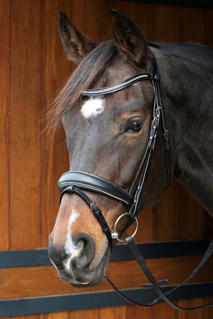 Bridon Harry's Horse Petit Crystal (COB)