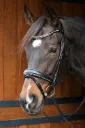 Bridon Harry's Horse Petit Crystal