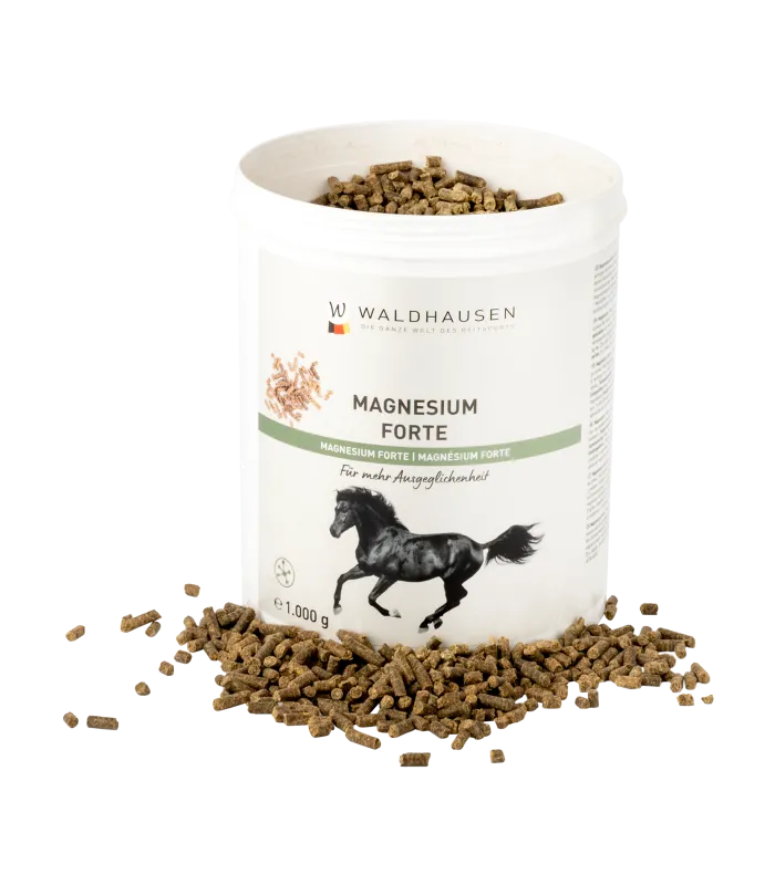 [39027000] Magnesium Forte Waldhausen