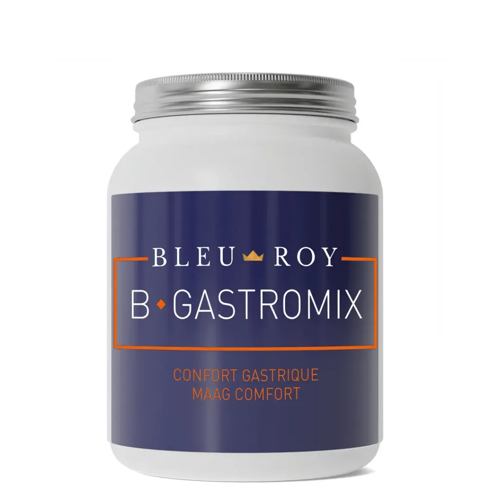 B-Gastromix Bleu Roy