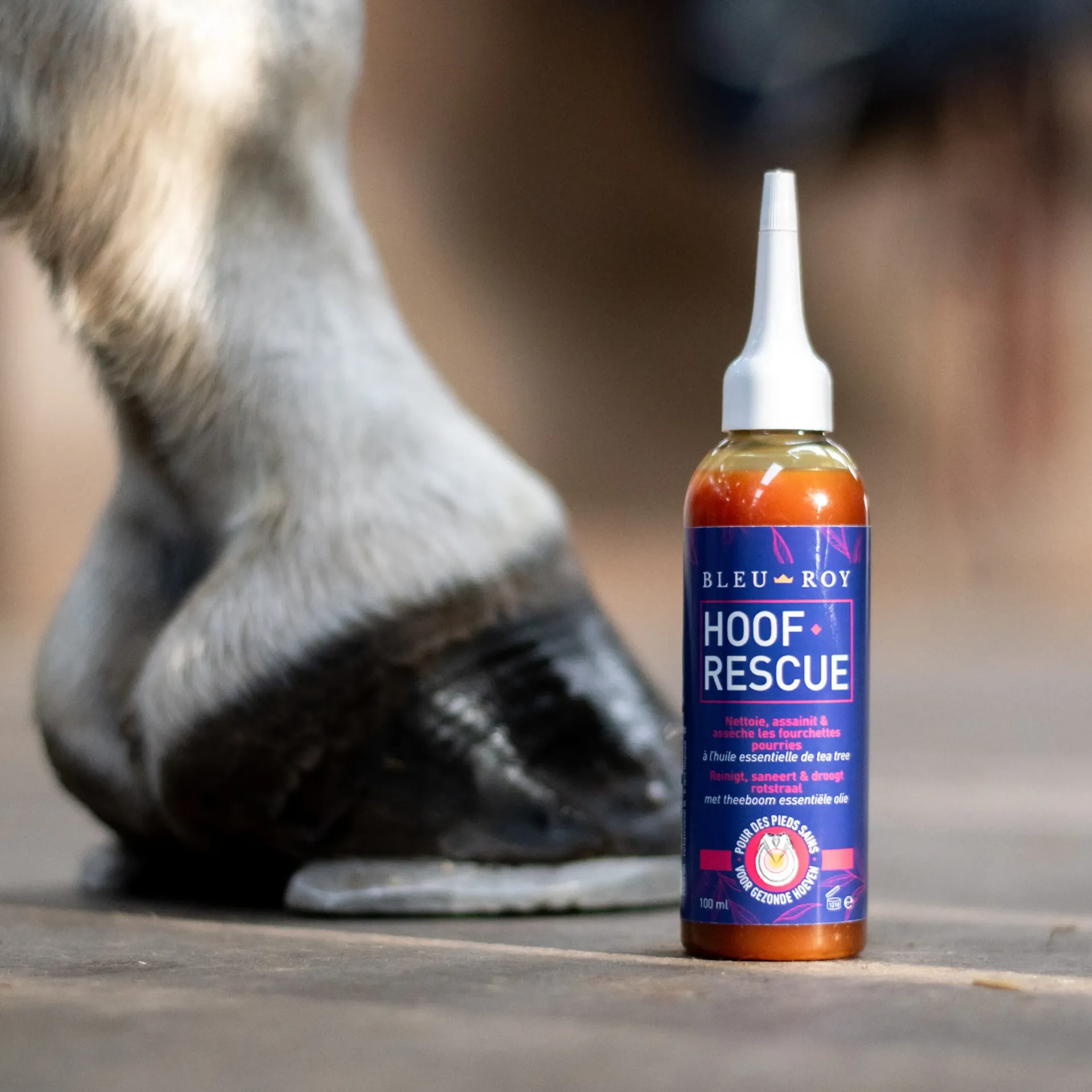 Hoof Rescue Bleu Roy