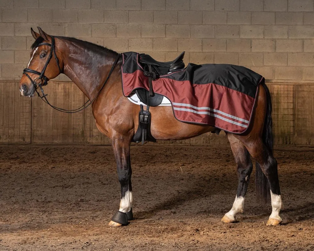 Couvre-rein Harry's Horse WP (M)