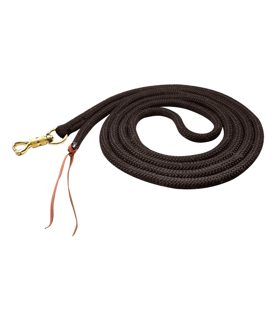 Corde de travail 4,2m