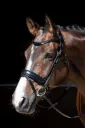 Bridon Harry's Horse Foramen Free