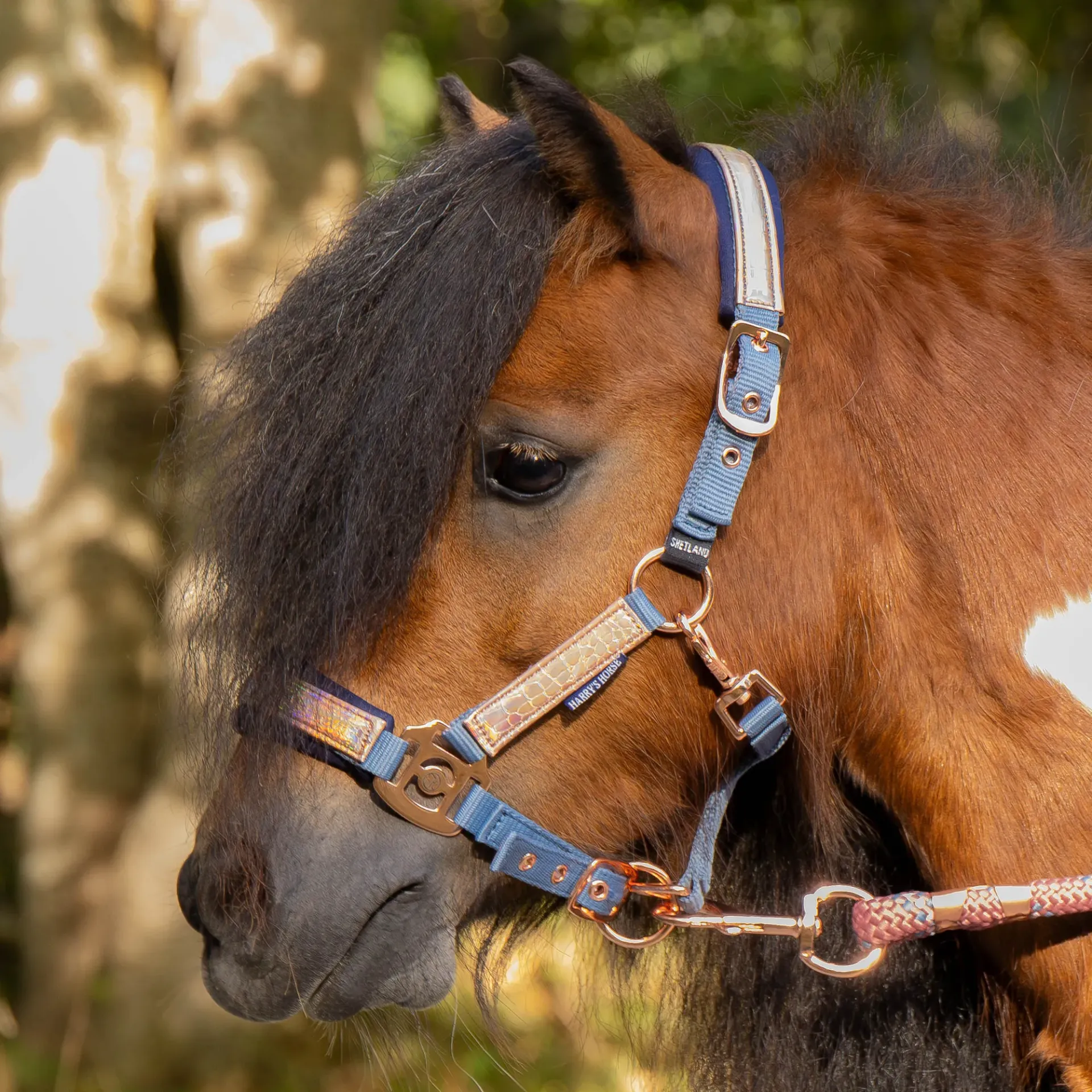 Licol HH Diva Mauvewood pony (PONY, Bleu)
