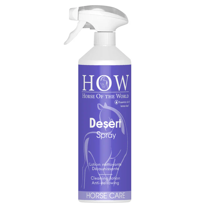 HOW Desert spray - shampoing sec