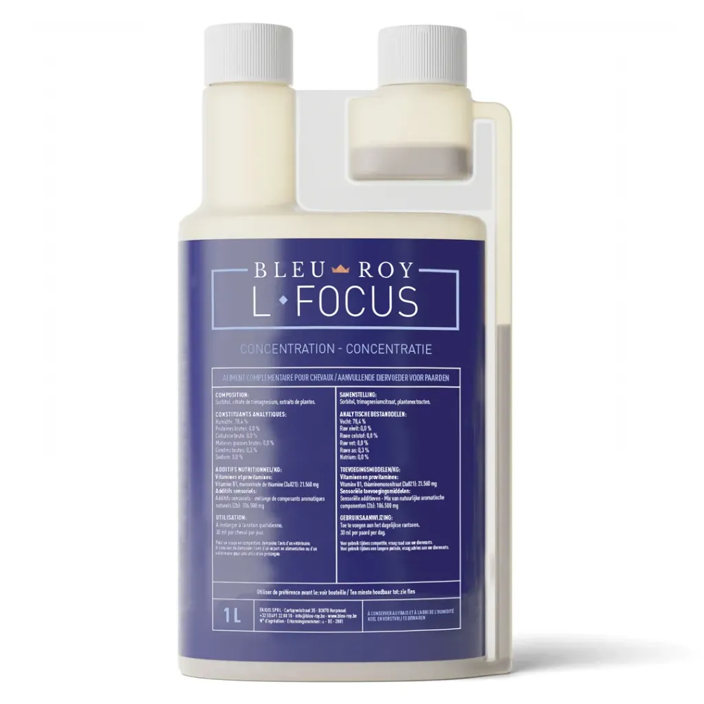L-Focus Bleu Roy