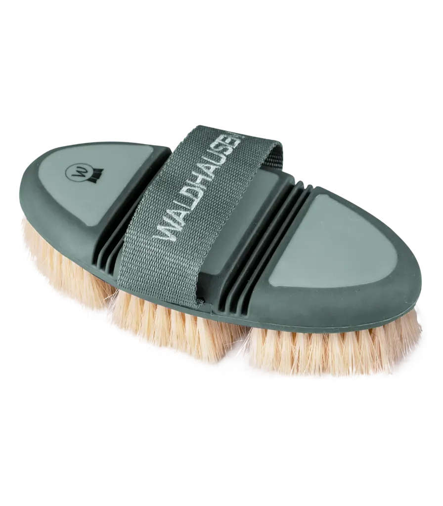 Brosse Flex chiendent