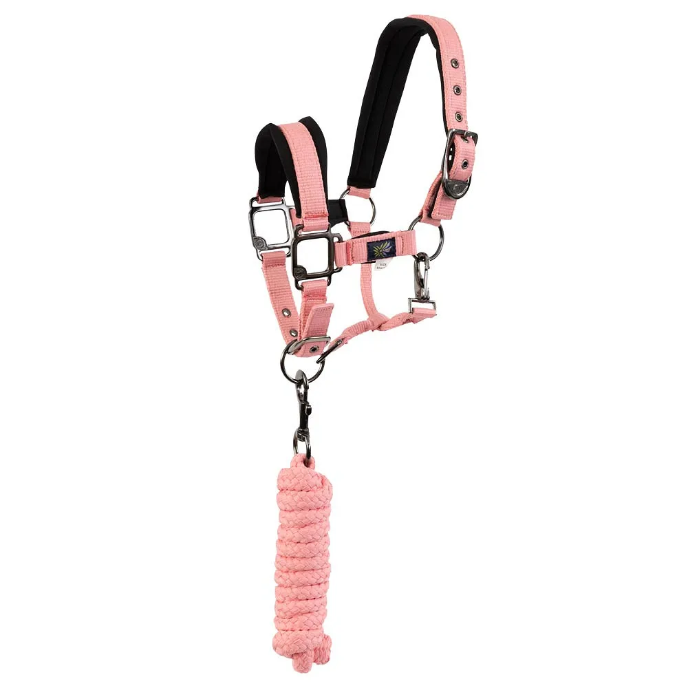 Licol BR Mini (PONY)