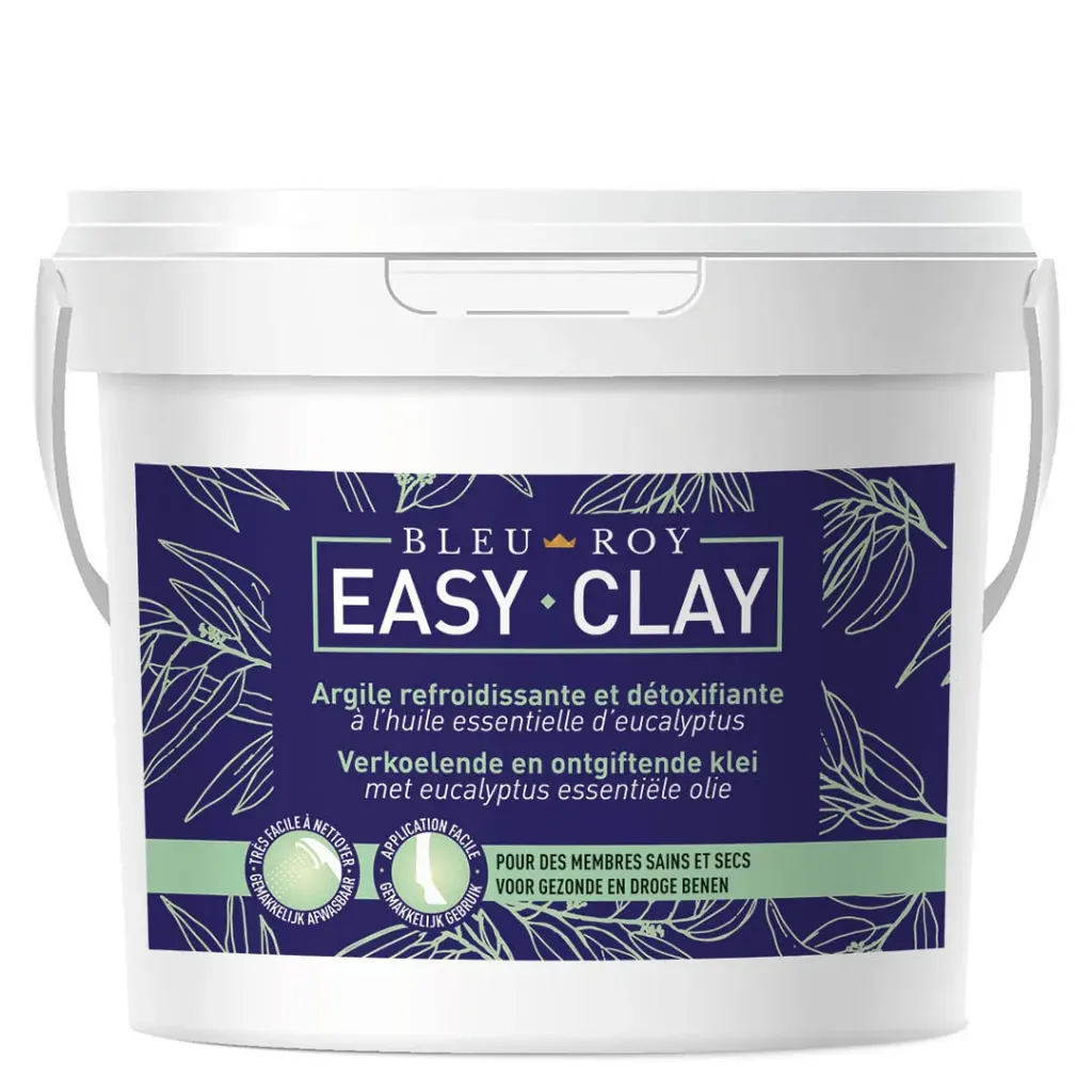 Easy Clay Bleu Roy