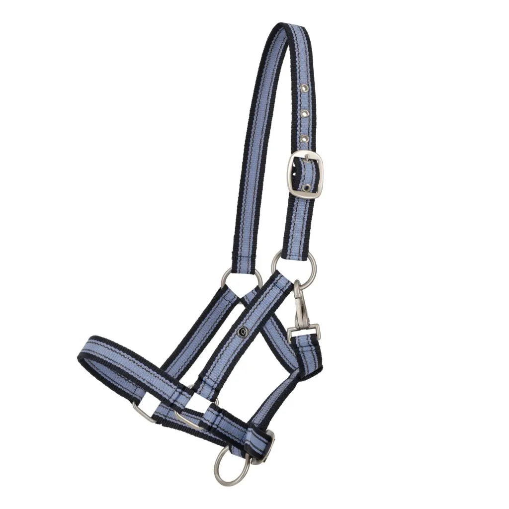 Licol QHP Yearling (Bleu)