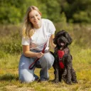 Laisse pour chien QHP