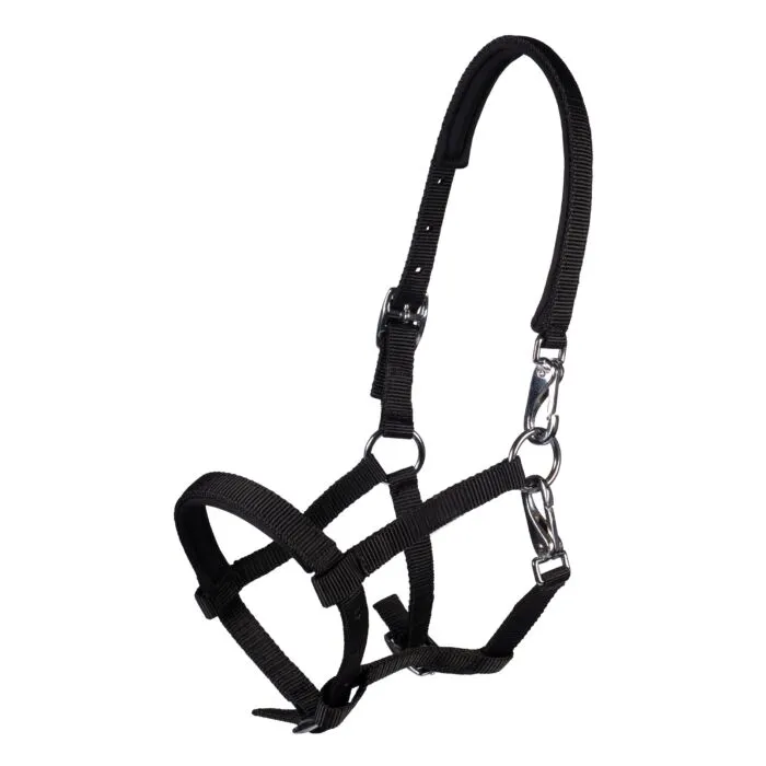 Licol poulain HKM Millie (Noir)